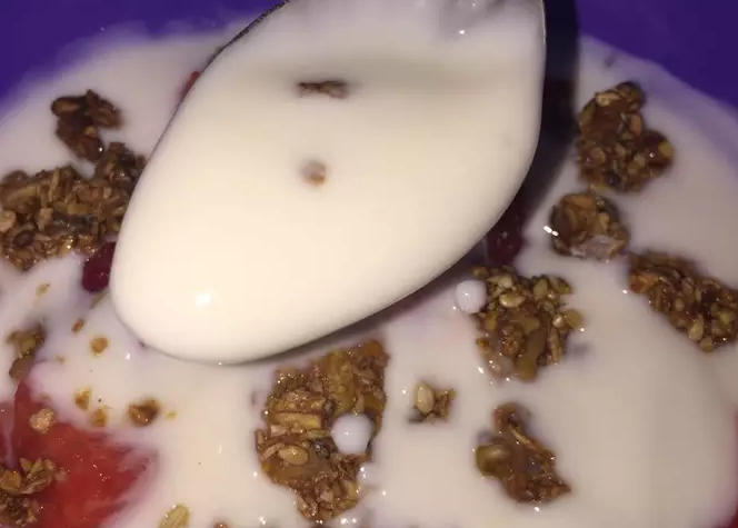 Yogurt casero con leche en polvo
