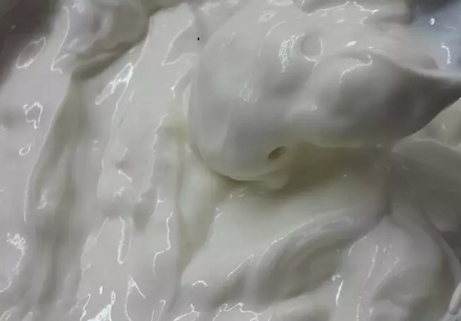 Yogurth casero estilo griego con leche en polvo