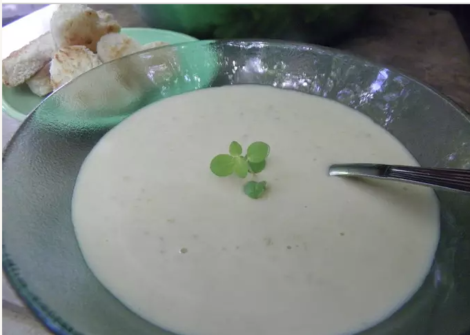 Sopa crema de cebolla